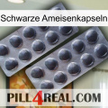 Black Ant Capsules 31